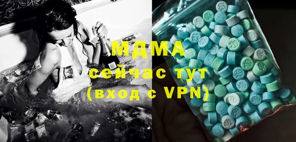 ПСИЛОЦИБИНОВЫЕ ГРИБЫ Михайлов